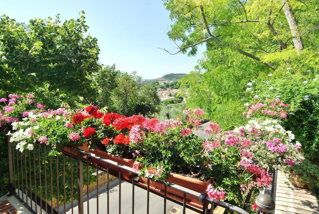 Villa Fiorita กรอตตัมมาเร ภายนอก รูปภาพ